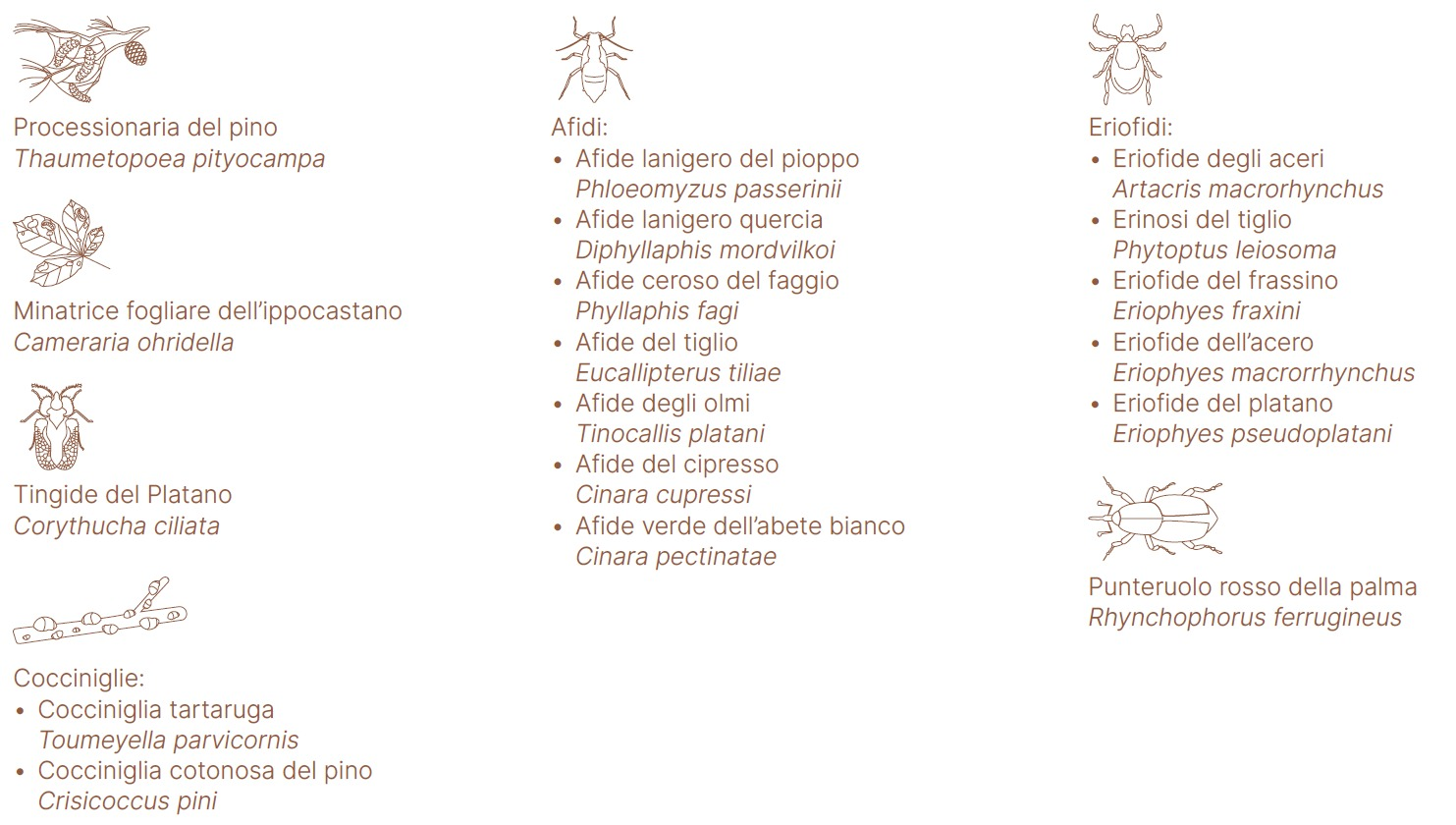 Hygene-Endoterapia_insetti